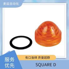 SQUARE D 9013FSW29J99 ѹ������ ����Ԫ���� 9007C62F