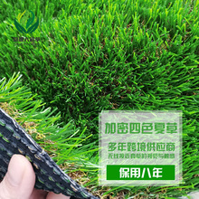 V|S ͥԺƺ픘ϲƤ 픻@ٲƺ