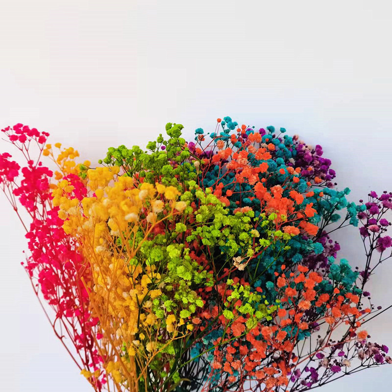 Runzhao fábrica al por mayor Yunnan ILOs gran cabeza de la flor inmortal cielo estrellado 120g por manojo