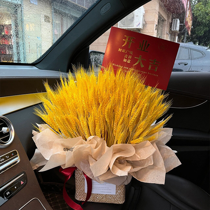 풍부한 재정 자원(자재 패키지)