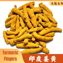 ӡȽS India Turmeric lptĸɃos؛l