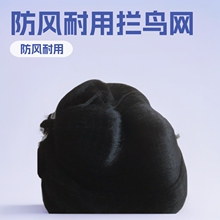 生产销售飞机场拦鸟网农牧林防护网防风耐用驱鸟
