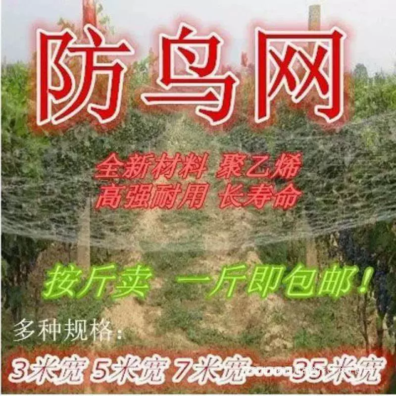 Anti-bird net Gardening anti-bird net can prevent sparrows, turtle doves, pigeons and thrushes Mimi 10 meters 25 meters 30 meters wholesale