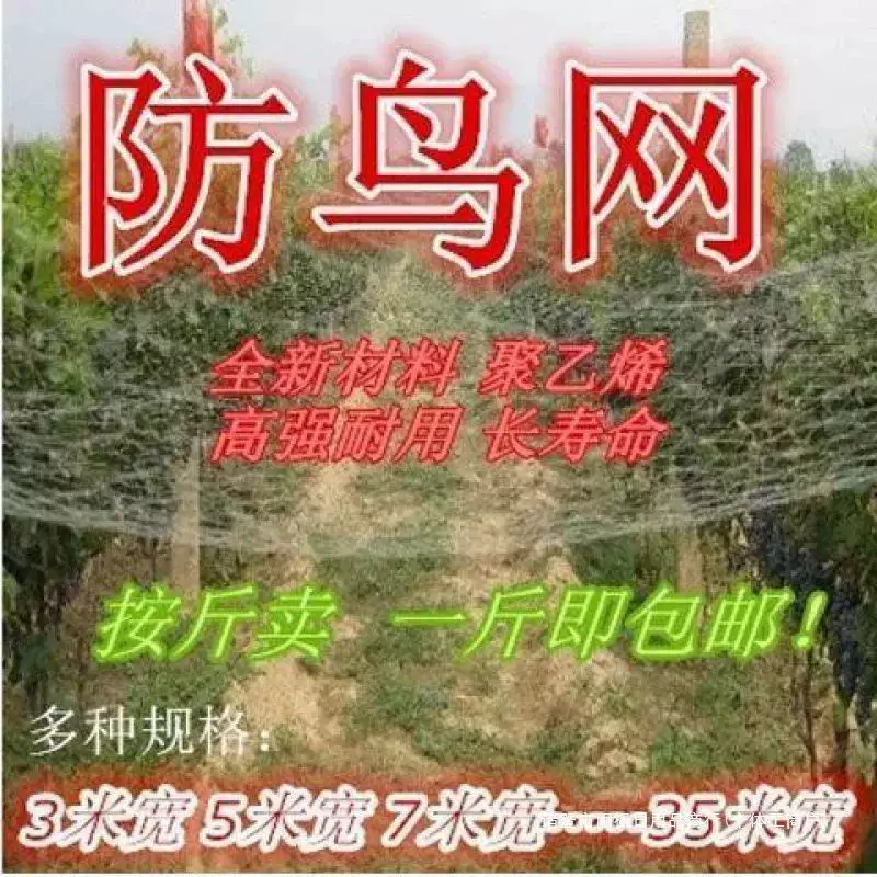 Anti-bird net Gardening anti-bird net can prevent sparrows, turtle doves, pigeons and thrushes Mimi 10 meters 25 meters 30 meters wholesale