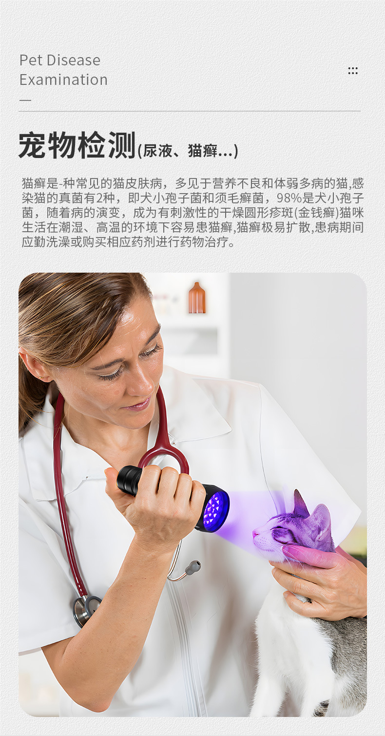 Uv Glue Curing Lamp 395 Purple Light Quick-Drying Ultraviolet Lamp 21Led Shadowless Glue Bonding Purple Light Flashlight