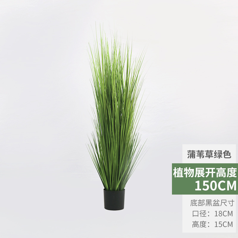 犬尾巴草シミュレーション花葦草偽草シミュレーション緑植毛虫猫尾草偽花箱装飾造景観|undefined