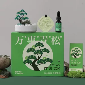 (一件代发 含手提袋 )无火香薰晶石礼盒石膏扩香教师节礼物企业公