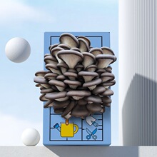 Ģ�����ӶY��ƽ���Nֲ��ʳ�þ��׃��@���޾Gֲ�Bֳ���b���b���SĢ