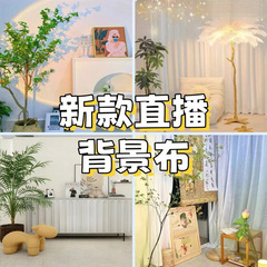 感立体直播背景布装饰移动网可新款红高级高清拍照挂布简约
