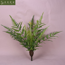 ����ֲ��ާ�ֲ��15�^��̖���Xާ�Ų�ާ�F��ާ��˹�վGֲ�����