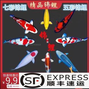 �\���~����~�^�p�~���w��ˮ��Ʒ��ˮС�ͺ��B�ͻ�