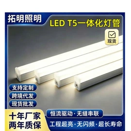 LED支架灯;其他LED光源;线条灯/灯条