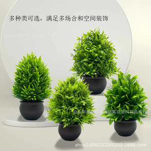 Cross-border Hot-selling Green Plant Artificial Potted Small Tree Indoor Bonsai Living Room Desktop Balcony Decorative Bonsai Ornaments