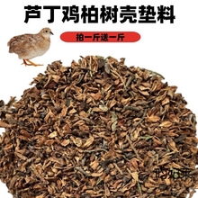 �J���u�|�Ϗ�ȥ���ؘ䚤�o�ۉm�l�ʹ���x����ȥζ�|�����l�����l