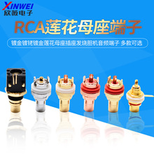 RCAĸ�����~僽���僽�ɏ��ĸ�������l��đ�C���l����