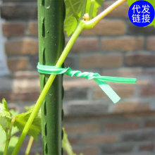 ���и�����������늾��������z�@ˇ�辰�̶����K�����F�z50��20��