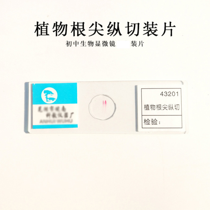 Mảnh cắt thẳng đứng đầu rễ cây