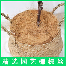 椰棕丝椰丝铺面盆栽铺面石通用型透气拉菲草填充丝花盆盖面草