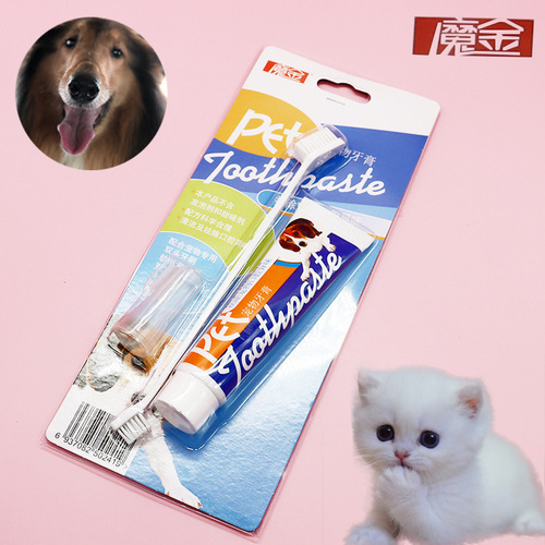 Dog, Cat, Pet Toothbrush and Toothpaste Set Teeth Cleaning Teddy Bichon Ragdoll British Short Pet Washing Set Oral