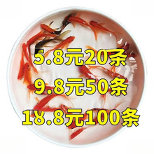 ���~���~���~��ˮ�^�p�~�J���~���~�~ʳС���~��