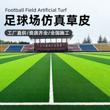 �˹���̺�ٲ�Ƥ�WУ�و�������w�����׃��@�Gɫ���ϵ؉|�����ƺ