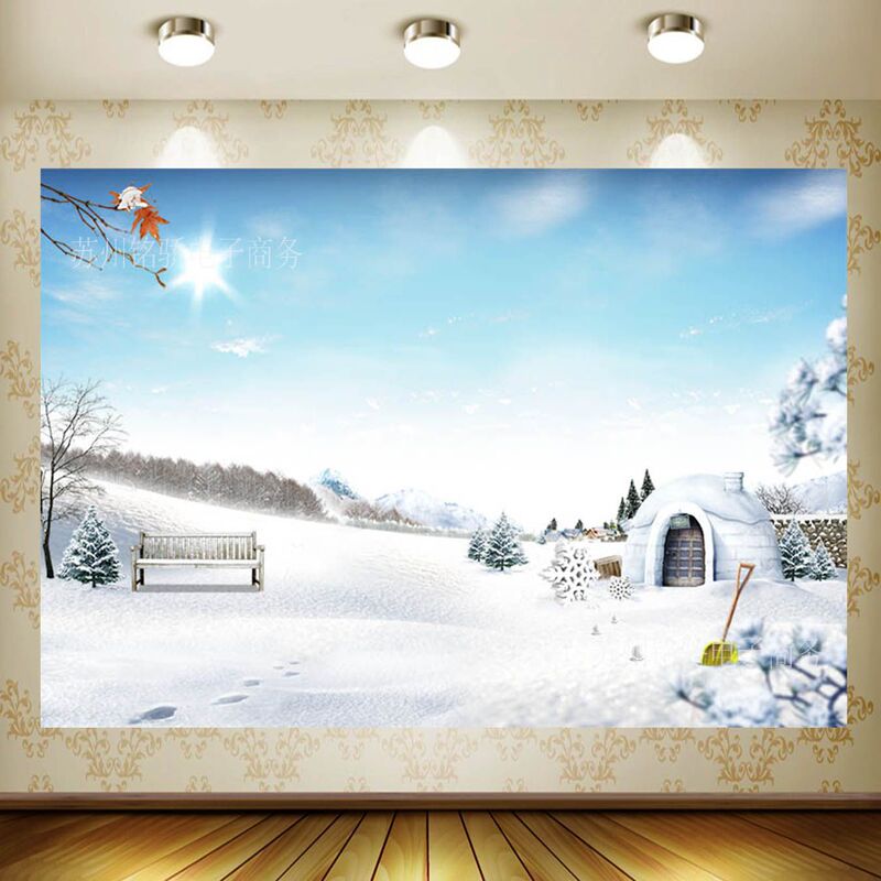 Amazon New Ice and Snow Theme Castle Birthday Party Photo Photography Background Cloth Scene Layout Decorative Banner