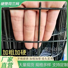 Ӳ���F�z�W�����B�u�W�Bֳ�W�~���F�W�ř�䓽z�W���@���x�W���o�W