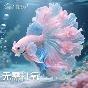 ��β��̩�����~�^�p�~�o�����С���~�ןᎧ��ˮ���~����»鼆�~