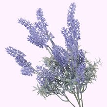 �F؛5��ӷ�޹�²� ���_��˹��@�b���޹�²� �����b�޹�²�