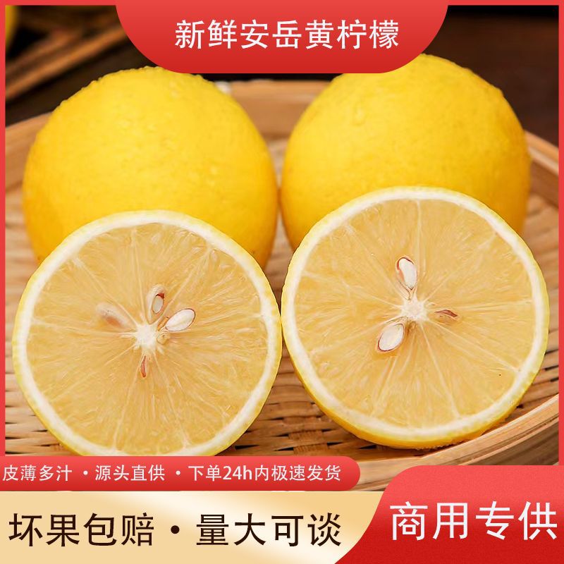 柠檬新鲜四川安岳黄柠檬尤力克新鲜水果薄皮多汁饮品商用品质