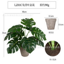 �������������~�¿�{�辰�Ҿ��b�Ʒ����[���Gֲ�ٻ�����ֲ��