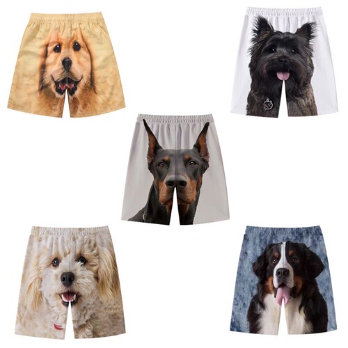 Dog shorts, couple's wear, golden shorts, husky shorts, summer croissants, sports pants, weird big pants