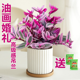 �ͮ���Y���m������֬녶���ֲ���k���҃Ȼ�������ˮ����B�Gֲ