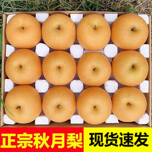 ɽ�|�R��������������r����������ժ����ˮ������