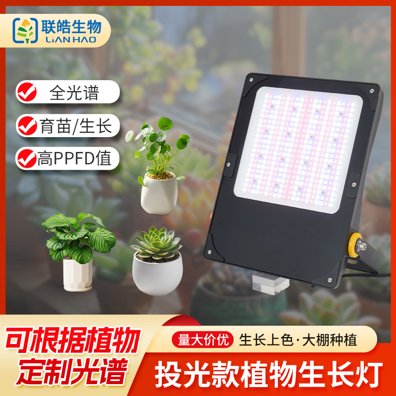 LED travel spotlight