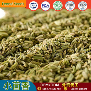 �S�����lС�������������偵����{ζ�ϼ��ß����������С��