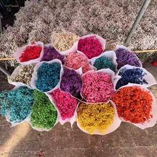 ��������M���� ���Sֱ�� ���� �ɻ��滨���l��diy���ϼ���Ȼ�ɻ�