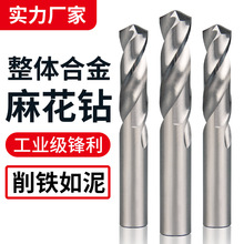 钨钢硬质整体合金钻头高硬度钻头钻白钢不锈钢专用麻花钻头