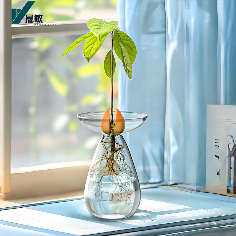 Vaso hidropónico de aguacate Vaso de plantación de semillas de hueso de aguacate Vaso de aguacate con alto contenido de borosilicato