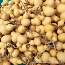 ��Ȼ���JС�����������J�������С���J���J��ˇƷ���l