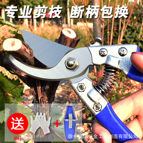 Ruier gardening scissors wholesale fruit branch shears, fruit tree shears, branch shears, flower shears, pruning shears, outdoor scissors, fruit picking shears
