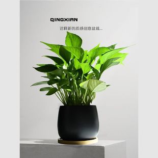 �G�}С�����҃ȃ����՚�Gֲ��ꎺ��B��ȩ�������k���ҷ�ݗ��ֲ��