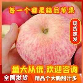 山东烟台冷库红富士苹果出售价格陕西山西冷库红富士苹果批发价格