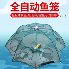 折叠虾笼捕鱼网笼户外捉泥鳅捕鱼笼子渔网龙虾网捞鱼网抓螃蟹笼