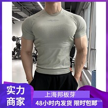 �ļ��������䏗���o���\����2025��ʽ�п�͸�⽡�������l�Gɫ��ɫ