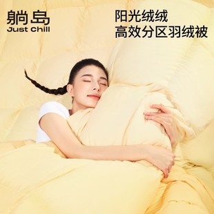 Lie Island High Efficiency Partition Duck Down Quilt Core Warm Double Quilt Winter Down Warm Quilt Cross-border New Product