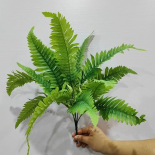 ����G���@���b��~ ������ԾGֲС�� С�߲�G�} ��˹ާ