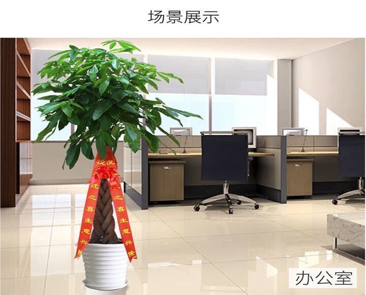 85b4096c-e90c-4008-b79a-d47992362025.jpe