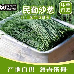 ����S���]�������خa���rɳ�[С�[���[�����ˬ��ζ�ɿڬFժ�F�l