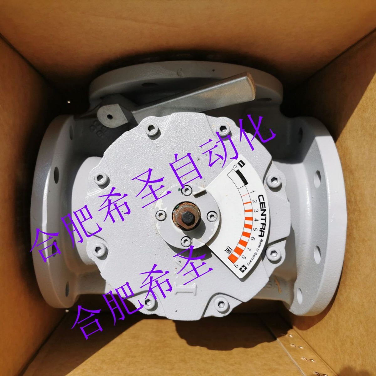 2023-10-17 21:19:12.jpg